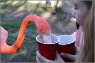 IMG_7736
