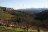 Wine country