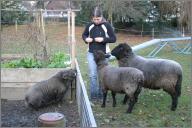 Barbara with pig and sheep