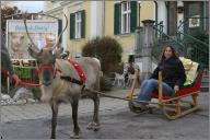 Sleigh ride!
