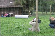 Sydney and Jumper moved to a new enclosure at the farm