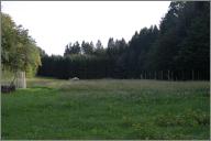 The fantastic field