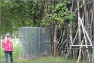 Temporary pigeon enclosure