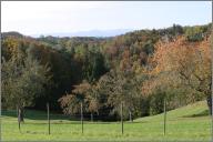 The valley where the farm is