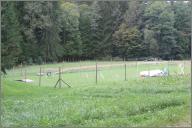 The dog school