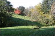 Apple Tree Meadow