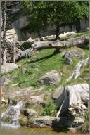 Pretty nice bear enclosure