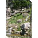 Zoo