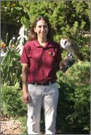 Me and Sweetpea: Barn owl