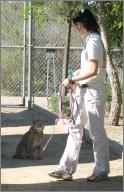 Sierra (bobcat) and Marissa