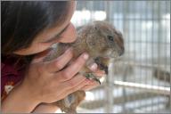 Louie: Prairie dog