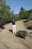 Stephanie B. and Hamilton (Yucatan Miniature Pig)