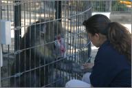 Zulu (Mandrill) and Tracy K.