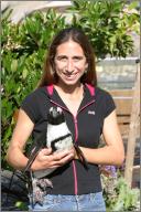 Fin - African penguin