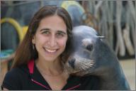 Louie - Sea lion