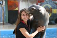 Peabody - Sea lion
