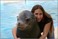 Doc - Sea lion