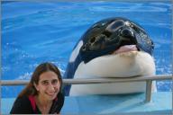 Shouka - Killer whale