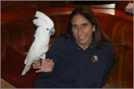 Cockatoo