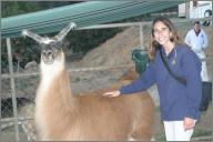 Llama