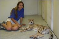 Taini - Cheetah