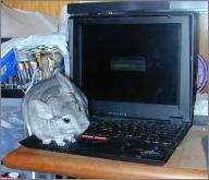 Glissen learns to compute
