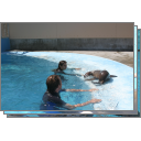 Swimming 8/24