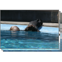 Swimming 8/25